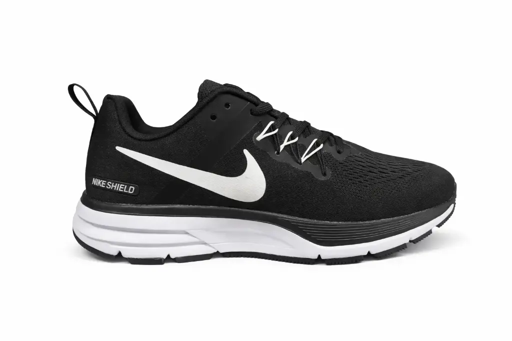 Nike zoom pegasus 31