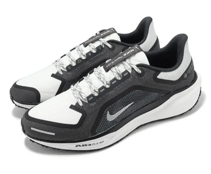 Nike pegasus goterex gris