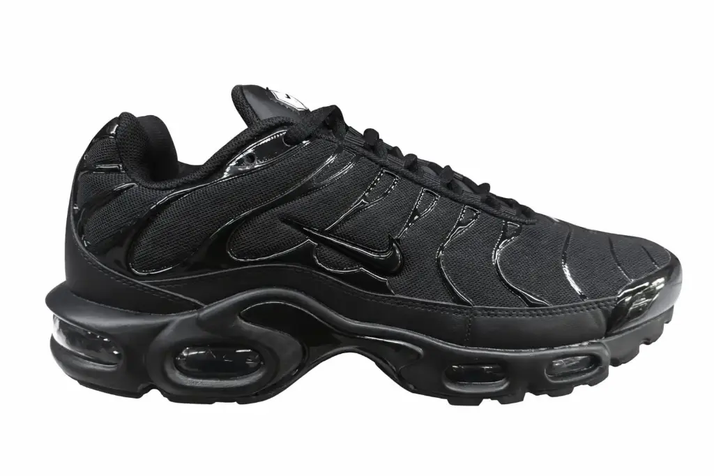 Nike tn plus negra