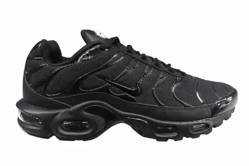 Nike tn plus negra
