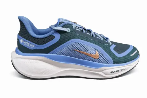 Nike pegasus goretex celeste