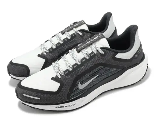 [pegasus goterex gris] Nike pegasus goterex gris